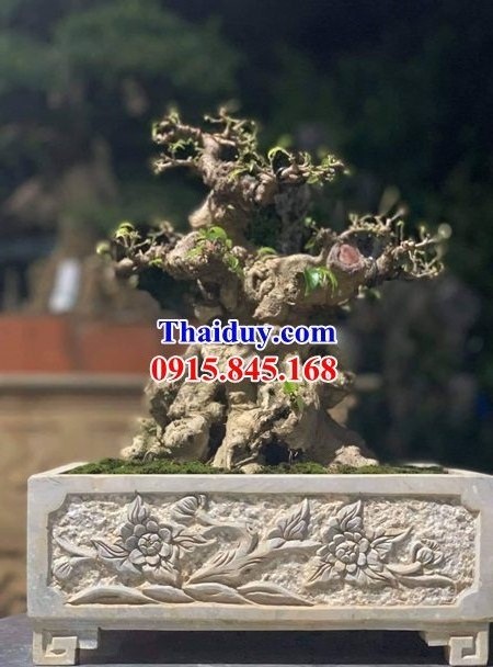 Bể trồng cây cảnh bonsai bằng đá mỹ nghệ cao cấp