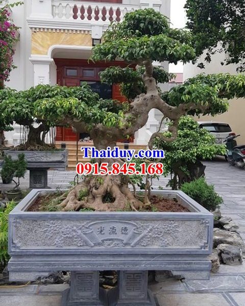 13 Mẫu chậu bể đá nguyên khối trồng cây cảnh bon sai hiện đại đẹp bán Vĩnh Phúc