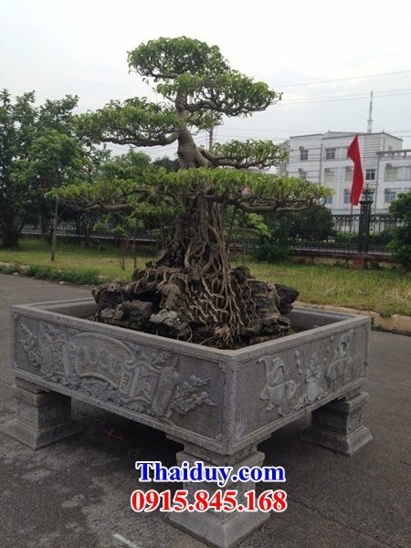 72 Mẫu chậu bể đá thanh hóa trồng cây cảnh bon sai đẹp bán tại Hà Nội