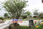 Top 10 đèn đá trang trí sân vườn biệt thự đẹp nhất tại Quảng Ngãi