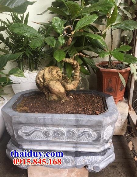 Mẫu chậu bonsai bằng đá cao cấp kích thước phong thủy tại Hậu Giang